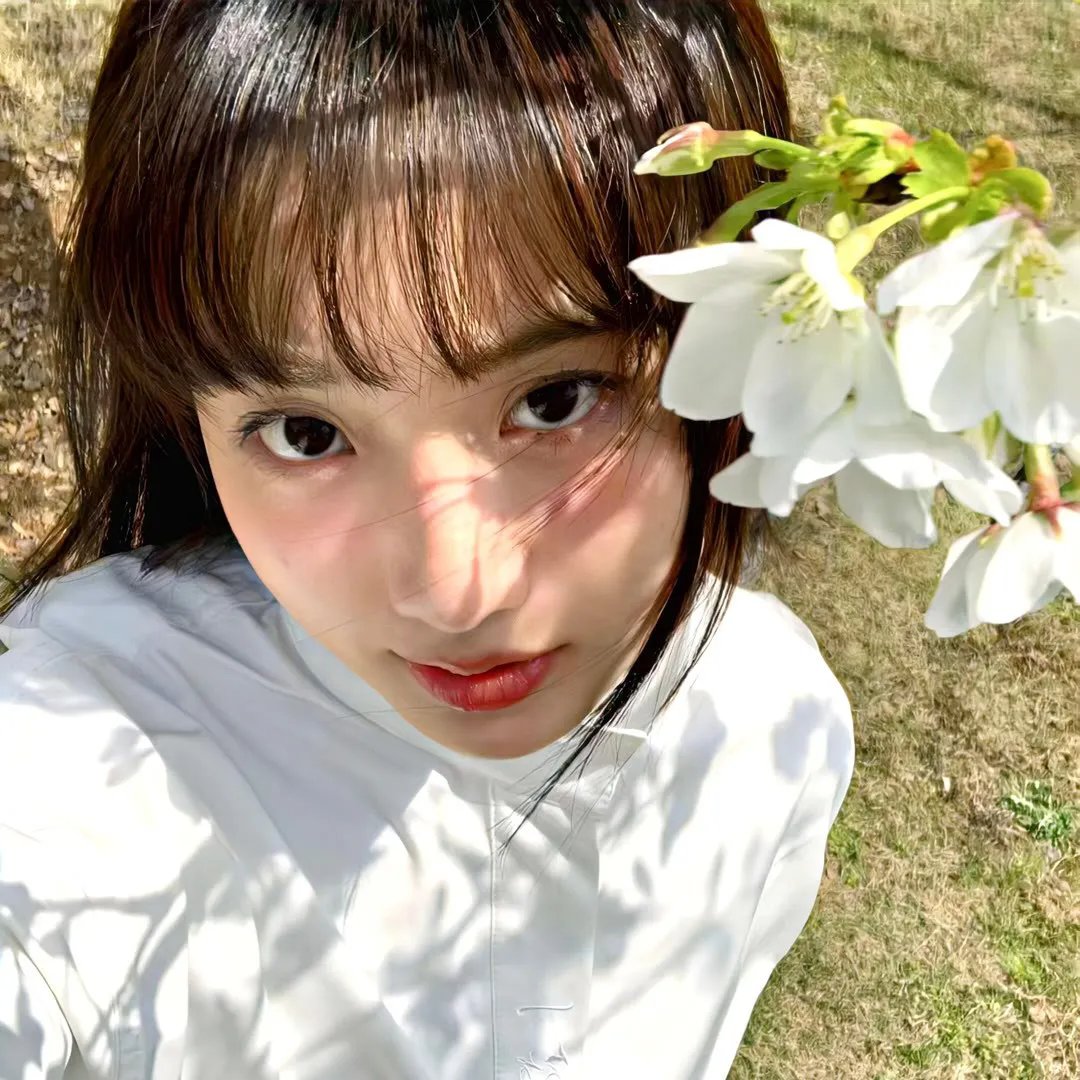 妙妙探粤语